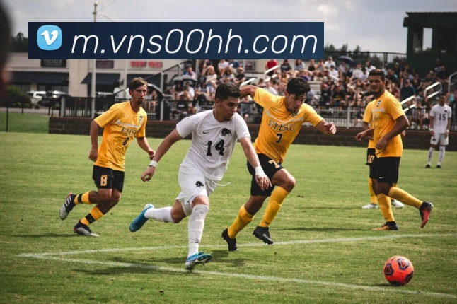 平台使命图